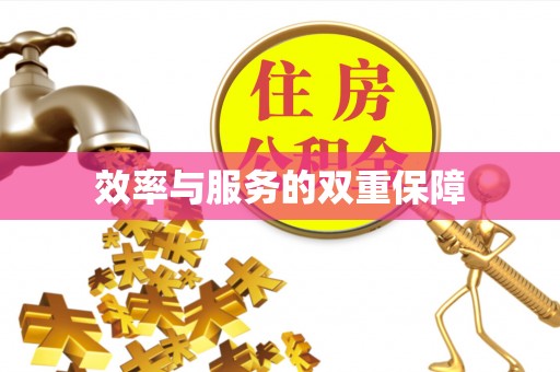 革吉效率与服务的双重保障