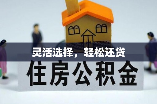 革吉灵活选择，轻松还贷