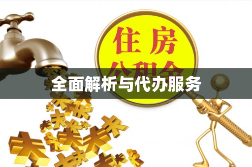 革吉全面解析与代办服务