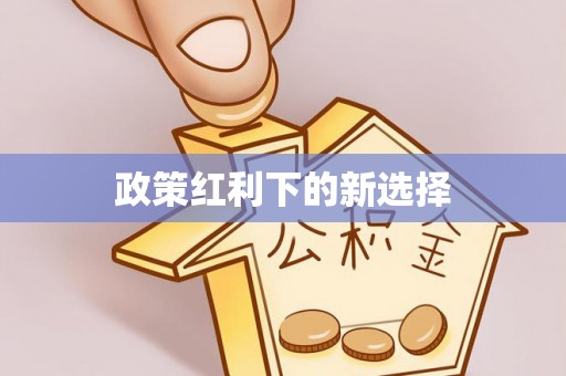 革吉政策红利下的新选择