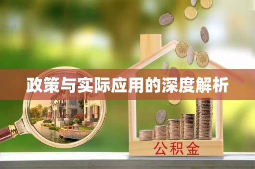 革吉政策与实际应用的深度解析