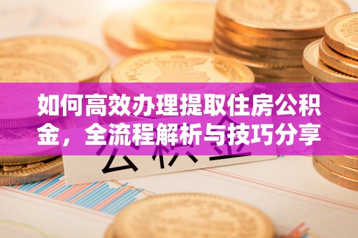 革吉如何高效办理提取住房公积金，全流程解析与技巧分享