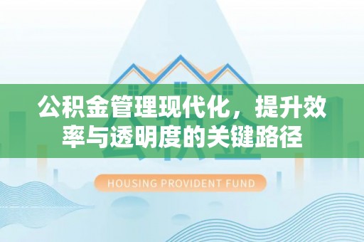 革吉公积金管理现代化，提升效率与透明度的关键路径