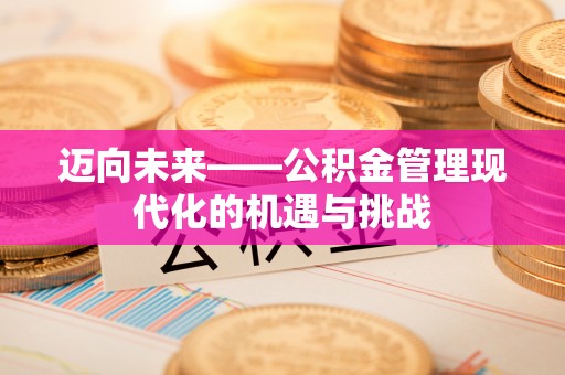 革吉迈向未来——公积金管理现代化的机遇与挑战
