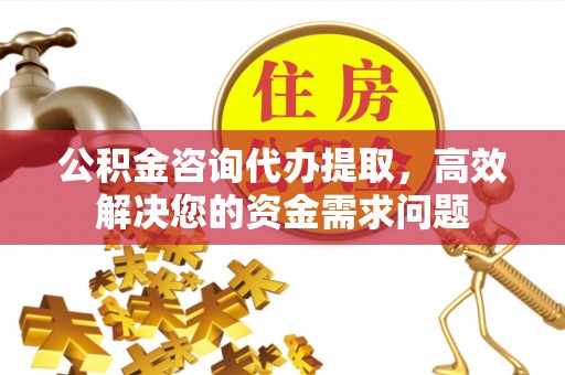 革吉公积金咨询代办提取，高效解决您的资金需求问题