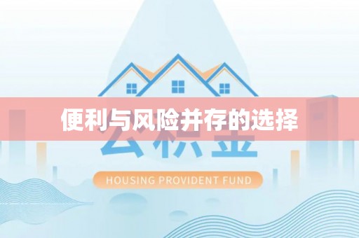 革吉便利与风险并存的选择