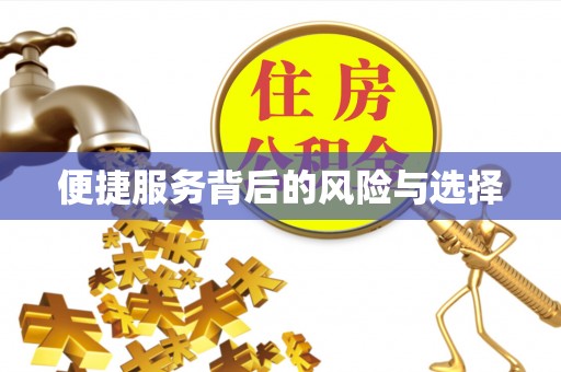革吉便捷服务背后的风险与选择