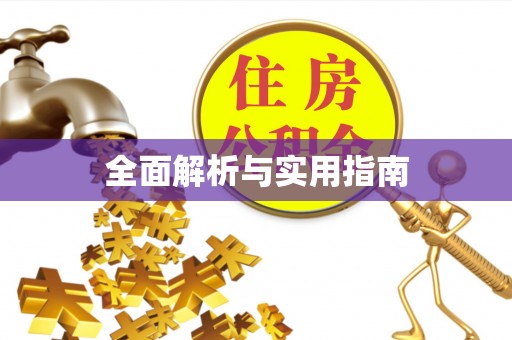 革吉全面解析与实用指南