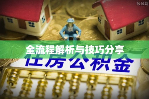 革吉全流程解析与技巧分享