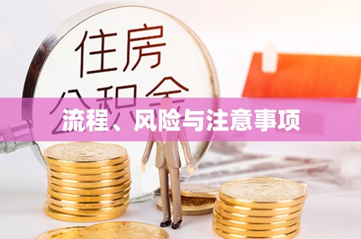 革吉流程、风险与注意事项