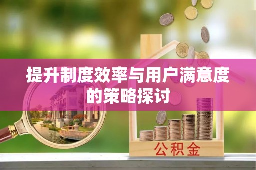 革吉提升制度效率与用户满意度的策略探讨
