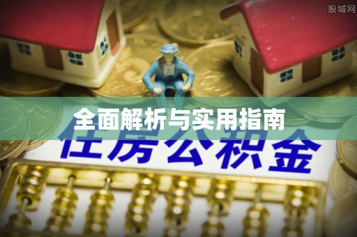 革吉全面解析与实用指南